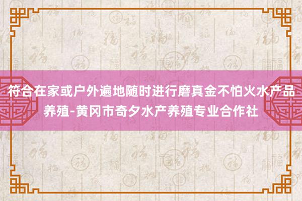 符合在家或户外遍地随时进行磨真金不怕火水产品养殖-黄冈市奇夕水产养殖专业合作社