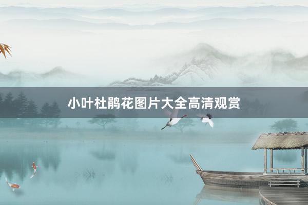 小叶杜鹃花图片大全高清观赏