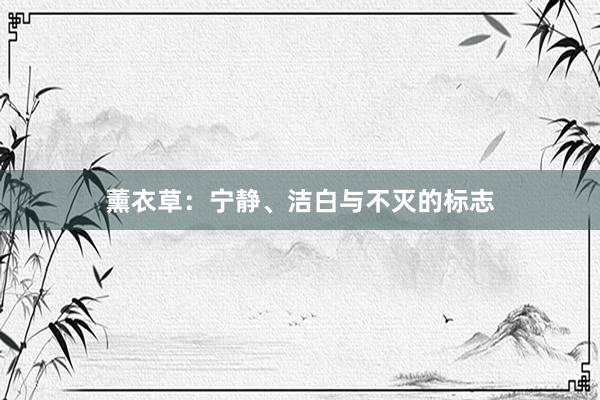 薰衣草：宁静、洁白与不灭的标志