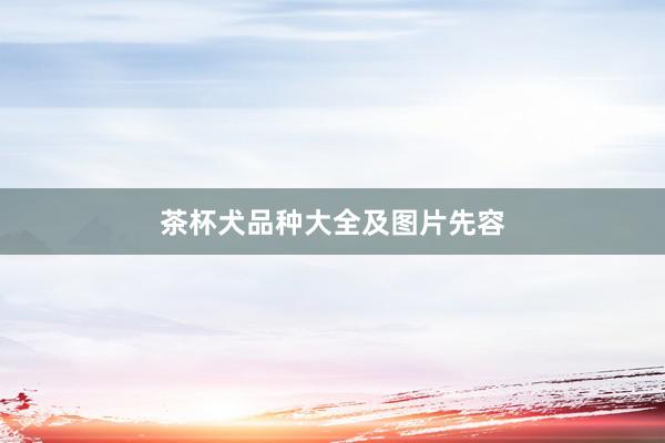茶杯犬品种大全及图片先容