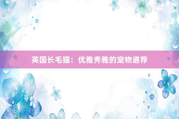 英国长毛猫：优雅秀雅的宠物遴荐