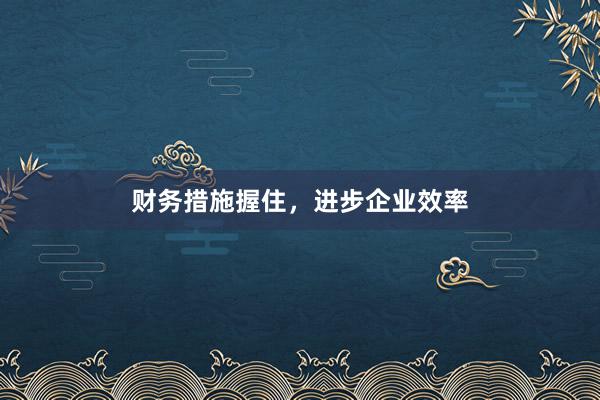 财务措施握住，进步企业效率